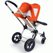 BUDKA LETNIA CAMELEON ORANGE CANVAS